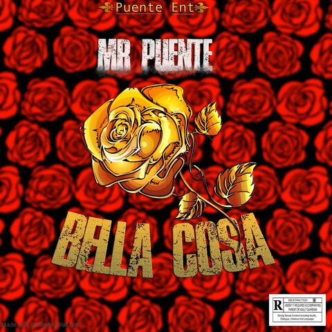 Bella Cosa