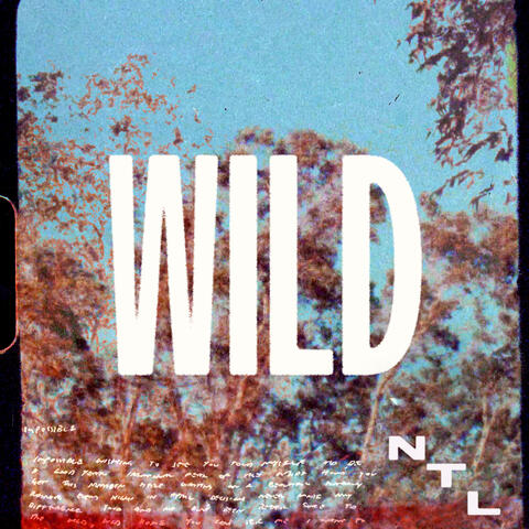 Wild