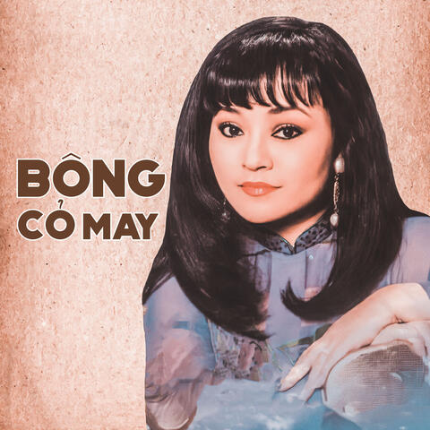 Bông Cỏ May