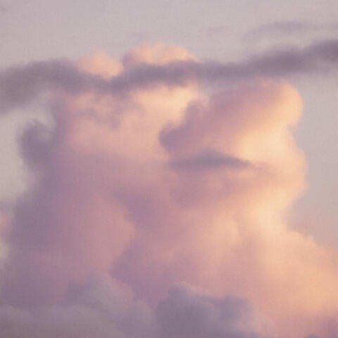 Pink Noise in Motion