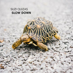 Slow Down