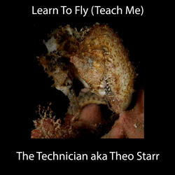 Learn To Fly (Teach Me)