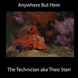 Anywhere But Here