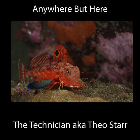 Anywhere But Here