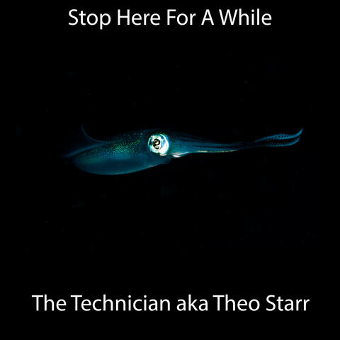 Stop Here For A While