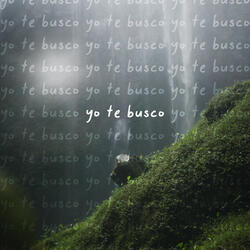 Yo Te Busco