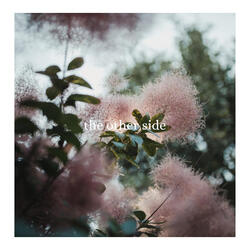 The Other Side