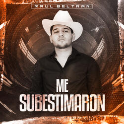 Me Subestimaron