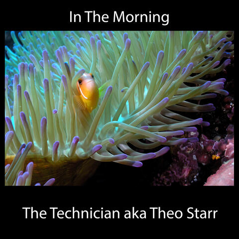 In The Morning