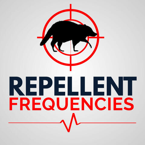 Sounds To Stop Raccoons