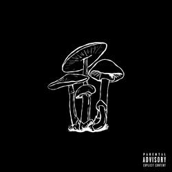 SHROOM TRIP