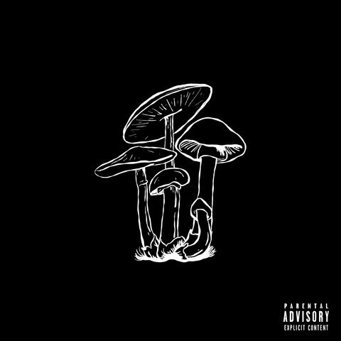 SHROOM TRIP