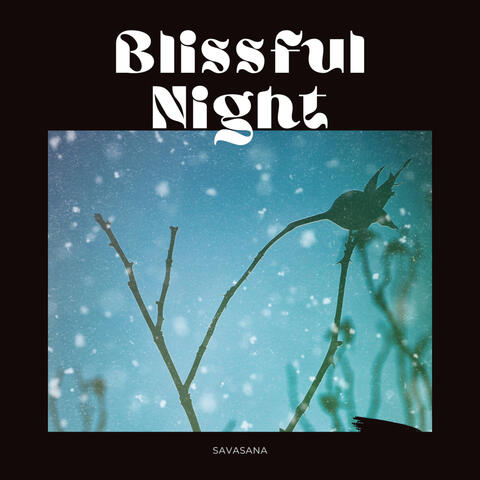 Blissful Night