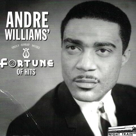 Fortune of Hits