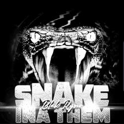 Snake Ina Them