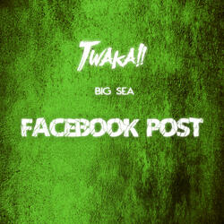 Facebook Post
