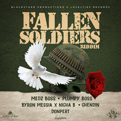 Fallen Soldiers