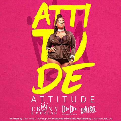 Attitude
