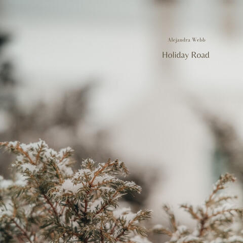 Holiday Road