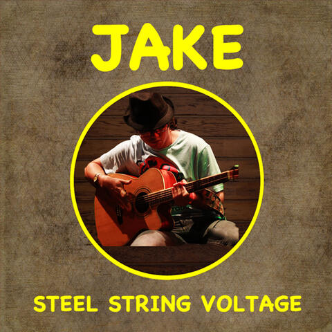 Steel String Voltage