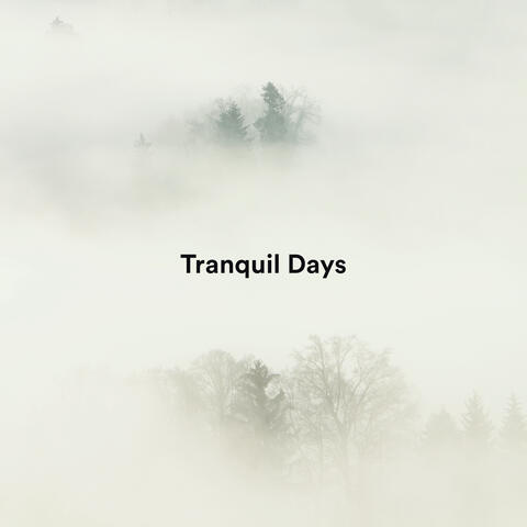 Tranquil Days