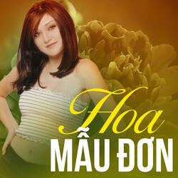 Liên Khúc Chị Tôi