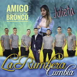 Amigo Bronco