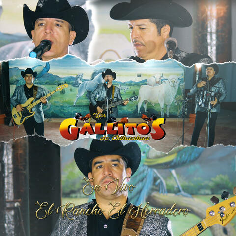 Rancho El Herradero