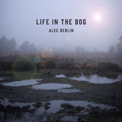 Life in the Bog