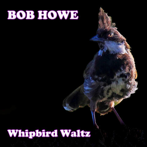 Whipbird Waltz