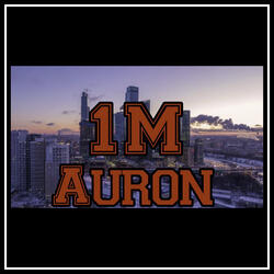 1M