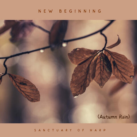 New Beginning (Autumn Rain)