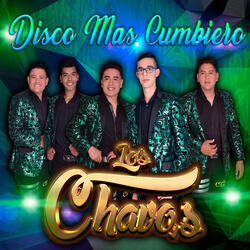 Busca Amor