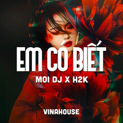 Em Có Biết (Vinahouse)