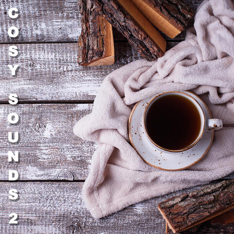Cosy Sounds 2 - for Study and Snooze