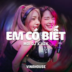 Em Có Biết Ver 2 (Vinahouse)