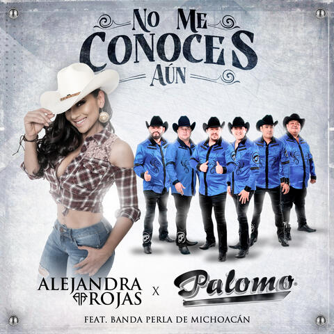 No Me Conoces Aún