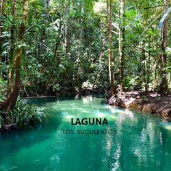 Laguna