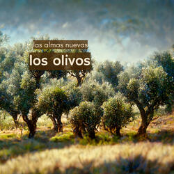 Los Olivos