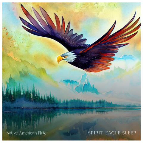 Spirit Eagle Sleep