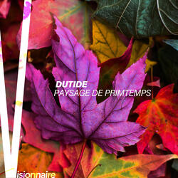 Paysage de primtemps