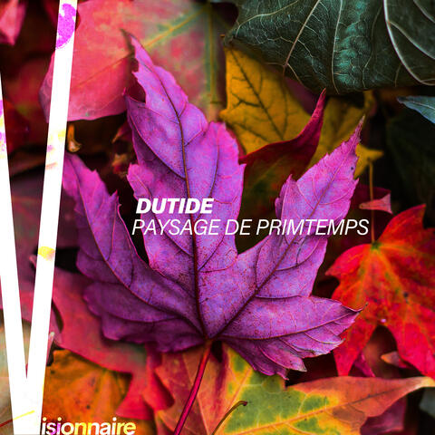 Paysage De Primtemps
