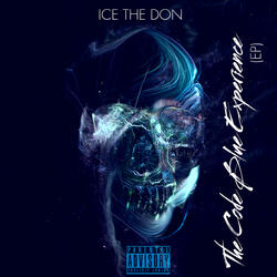 Party Like A Rock Star