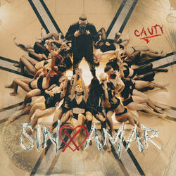 Sin Amar