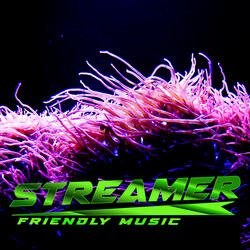 Lo Fi Calming Bacakground Beat