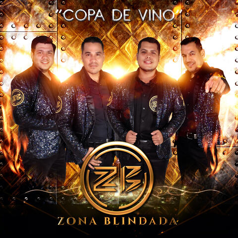 Copa de Vino