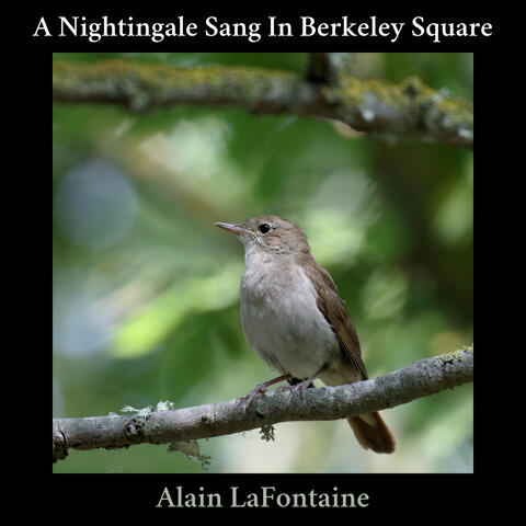 A Nightingale Sang in Berkeley Square - Instrumental