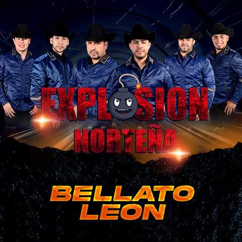 Bellato Leon