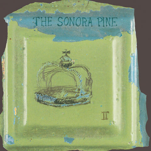 The Sonora Pine
