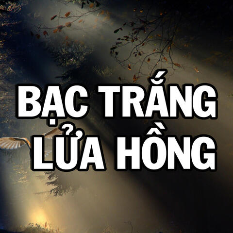 Bạc Trắng Lửa Hồng